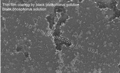 Monolayer Black Phosphorus Solution