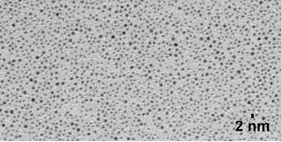 NanoXact Gold Nanospheres 窶� Dodecanethiol (Dried)