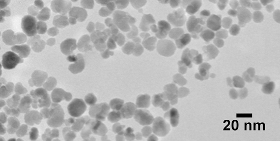 NanoXact Magnetite Nanoparticles 窶� PVP