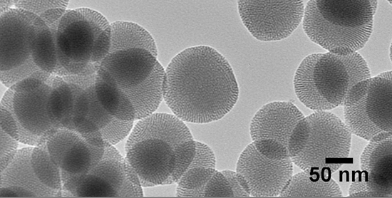 NanoXact Mesoporous Silica Nanospheres 窶� Aminated (Dried)