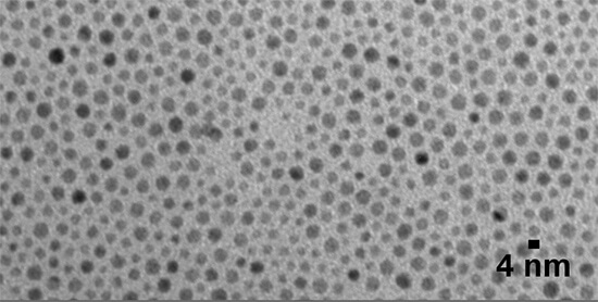 NanoXact Silver Nanospheres 窶� Dodecanethiol (Dried)