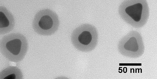 NanoXact Silver Nanoplates 窶� Silica Shelled